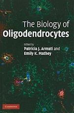 The Biology of Oligodendrocytes