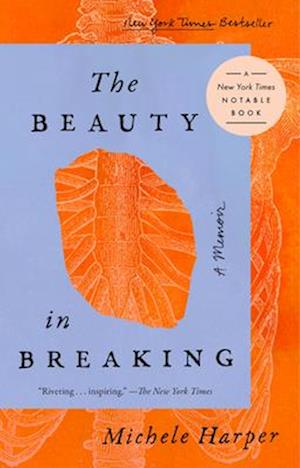 The Beauty In Breaking