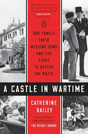 A Castle in Wartime