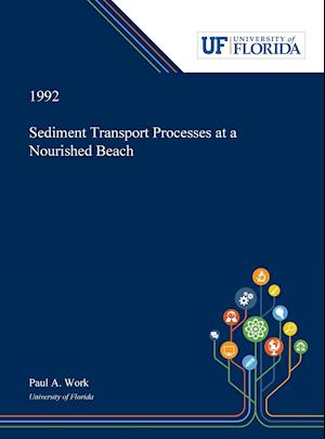 Sediment Transport Processes at a Nourished Beach