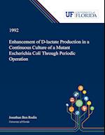 Enhancement of D-lactate Production in a Continuous Culture of a Mutant Escherichia Coli Through Periodic Operation