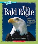 The Bald Eagle