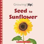 Seed to Sunflower (Growing Up)
