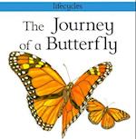 The Journey of a Butterfly