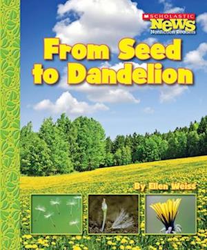 From Seed to Dandelion (Scholastic News Nonfiction Readers