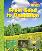 From Seed to Dandelion (Scholastic News Nonfiction Readers