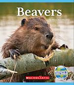 Beavers (Nature's Children)