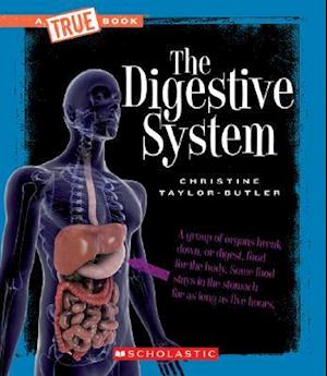 The Digestive System