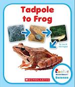 Tadpole to Frog (Rookie Read-About Science