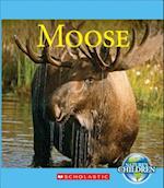 Moose