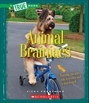 Animal Brainiacs (True Book