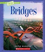 Bridges (a True Book