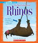 Rhinos (a True Book