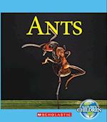 Ants (Nature's Children)