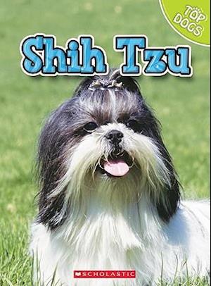 Shih Tzu