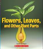 Flowers, Leaves and Other Plant Parts (a True Book