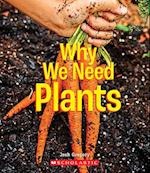 Why We Need Plants