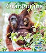 Orangutans (Nature's Children)