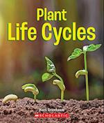 Plant Life Cycles