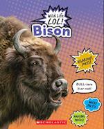 Bison (Wild Life Lol!)