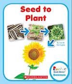 Seed to Plant (Rookie Read-About Science