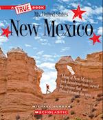 New Mexico (True Book