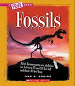 Fossils (a True Book