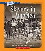 Slavery in America