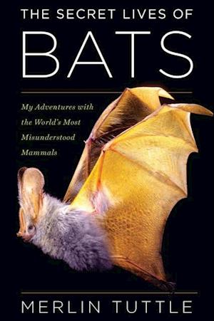 Secret Lives of Bats