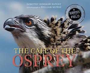Call of the Osprey