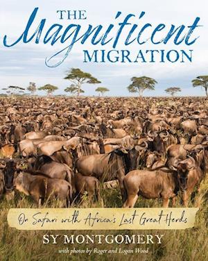 The Magnificent Migration