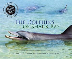 Dolphins of Shark Bay