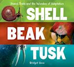 Shell, Beak, Tusk