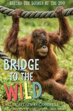 Bridge to the Wild