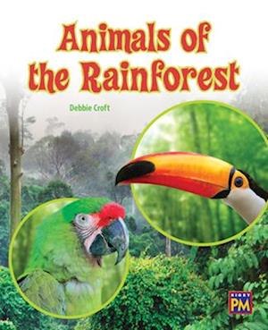 Animals of the Rainforest