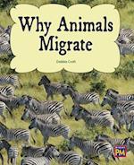 Why Animals Migrate