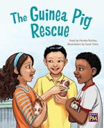 The Guinea Pig Rescue