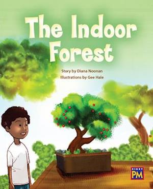 The Indoor Forest