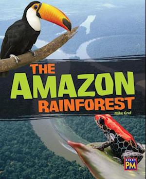 The Amazon Rain Forest