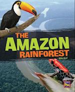 The Amazon Rain Forest