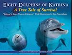 Eight Dolphins of Katrina