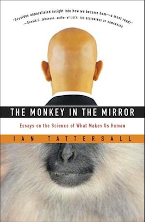 Monkey in the Mirror