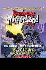 Goosebumps Horrorland, Book 8