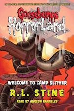 Goosebumps Horrorland, Book 9