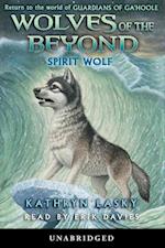Wolves of the Beyond, Book 5