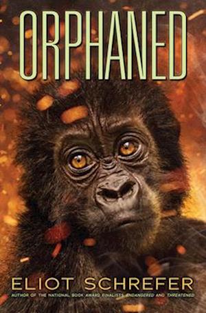 Orphaned (Ape Quartet #4)