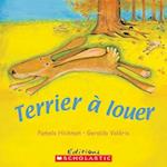 Terrier ? Louer