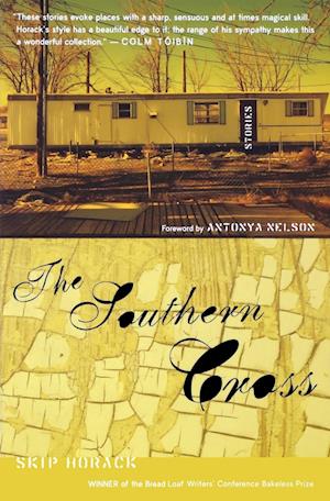 The Southern Cross