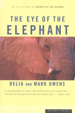 Eye of the Elephant