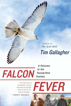 Falcon Fever